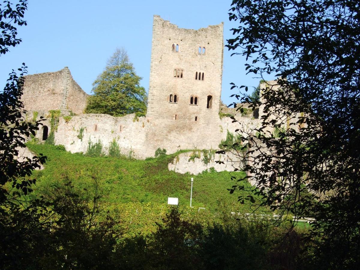 Ferienhaus Mayer In Der Sonnigen Ortenau Oberkirch Kültér fotó